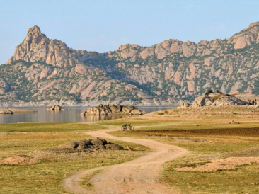 Jawai