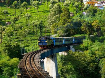 Ooty