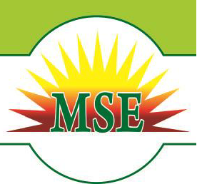 MSE